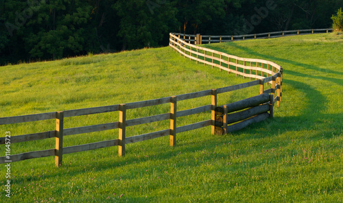 Photo: Winding Fence In Meadow Winding Fence In Meadow