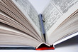 open book with a ball pen inside