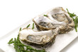 Photo: opened oysters on white background opened oysters on white background