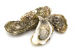 Photo: opened oysters on white background opened oysters on white background