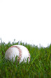 A baseball in the grass
