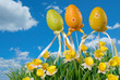easter eggs on the meadow
