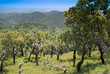 Scenic View Of Monchique Mountains - Portugal Scenic View Of Monchique Mountains - Portugal