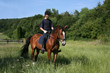Junger Reiter