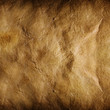 Old paper background
