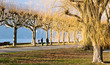 Les bords du Lac du Bourget à Aix-Les-Bains