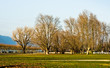 Parc à Aix-Les-Bains Parc à Aix-Les-Bains