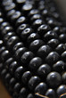Photo: Maíz negro. close up Maíz negro. close up