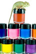Chameleon with paint banks Chameleon with paint banks