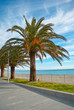 Passeggiata varazze