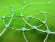 Réseau 3D bio