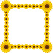 Sunflower Frame