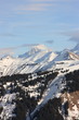 chaîne alpine