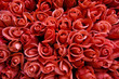 Pink Roses