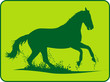 Pferd Galopp Green Pferd Galopp Green