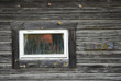 Old window