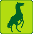 Wildpferd Green Wildpferd Green