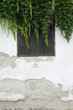 Old wall.
