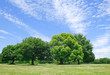 Peaceful scene