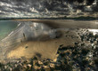 Plage du Nord