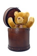 Old case with teddy bear isolated against a white background