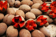 Fruits