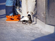 ice skating, winter fitness