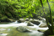A mountain river with sunbeam. A mountain river with sunbeam.