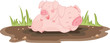 pigs