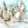 Foto: Knoblau Knoblau