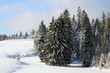 foret