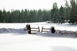 paysage neige