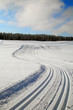 piste skis
