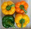 Peppers Yellow&Green