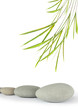 Zen Stones and Bamboo Leaf Grass