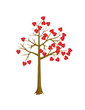 Scarlet hearts tree