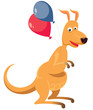 kangaroo kangaroo