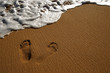 Beach Surf