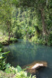 Foto: Laos Dschungel Laos Dschungel