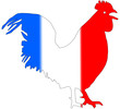 coq cocorico