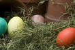 easter eggs in moss with clay pots easter eggs in moss with clay pots