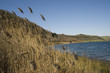 Autumn at lake
