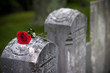 Love and Loss (Angled) Love and Loss (Angled)