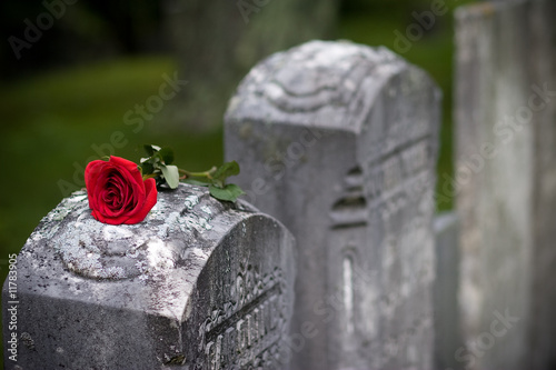 Photo: Love and Loss (Angled) Love and Loss (Angled)