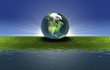 earth on the green grass