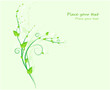 Floral swirl design with leaves on green background