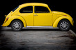 Yellow beatle Yellow beatle