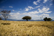 Foto: Steppe Steppe