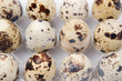 Picture of many small quail eggs Picture of many small quail eggs