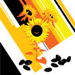 Oil Sunflower